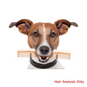 Hair Analysis Measuring Heavy Metals & Minerals Report & Formulation